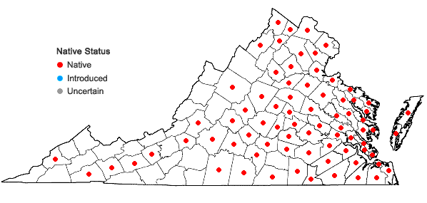 Locations ofHibiscus moscheutos L. in Virginia