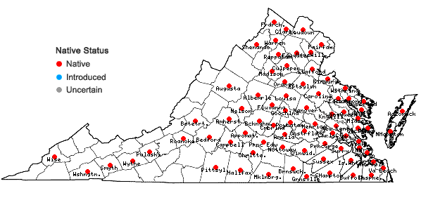 Locations ofHibiscus moscheutos L. in Virginia