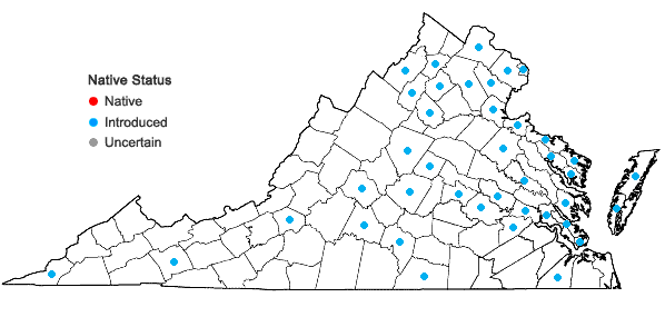 Locations ofHibiscus syriacus L. in Virginia