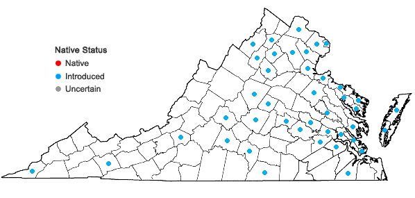 Locations ofHibiscus syriacus L. in Virginia