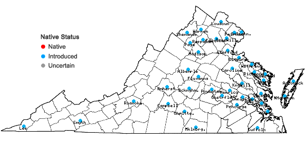 Locations ofHibiscus syriacus L. in Virginia