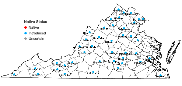 Locations ofHibiscus trionum L. in Virginia