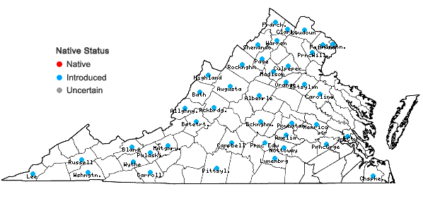 Locations ofHibiscus trionum L. in Virginia