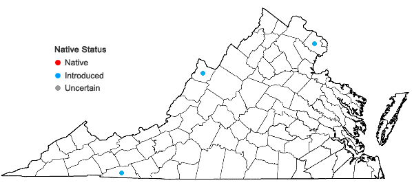 Locations ofHieracium aurantiacum L. in Virginia