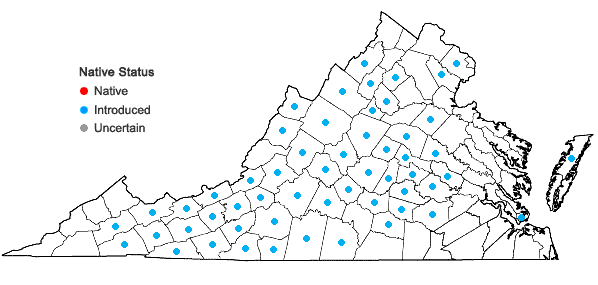 Locations ofHieracium pilosella L. in Virginia