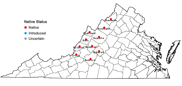 Locations ofHieracium traillii Greene in Virginia