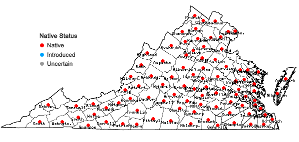 Locations ofHieracium venosum L. in Virginia