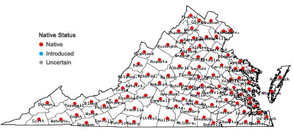 Locations ofHieracium venosum L. in Virginia