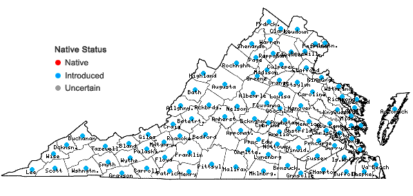 Locations ofHolcus lanatus L. in Virginia