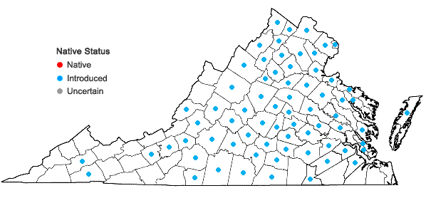Locations ofHolosteum umbellatum L. ssp. umbellatum in Virginia