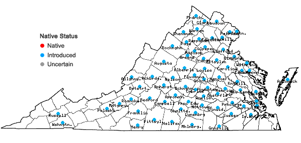 Locations ofHolosteum umbellatum L. ssp. umbellatum in Virginia