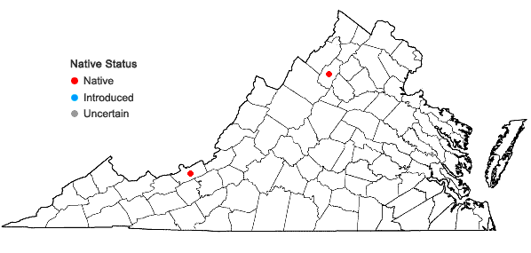 Locations ofHomalia trichomanoides (Hedw.) Schimp. var. trichomanoides in Virginia