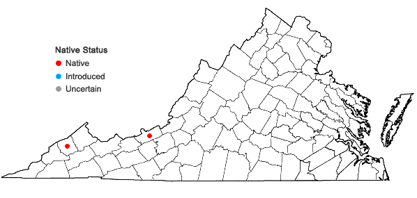 Locations ofHomaliadelphus sharpii (R. S. Williams) Sharp in Virginia