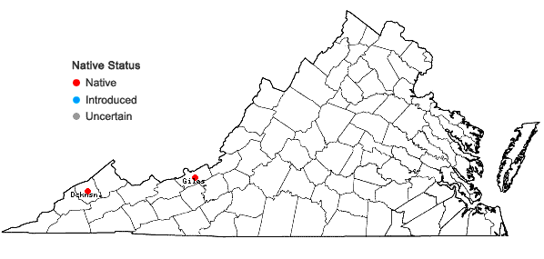 Locations ofHomaliadelphus sharpii (R. S. Williams) Sharp in Virginia