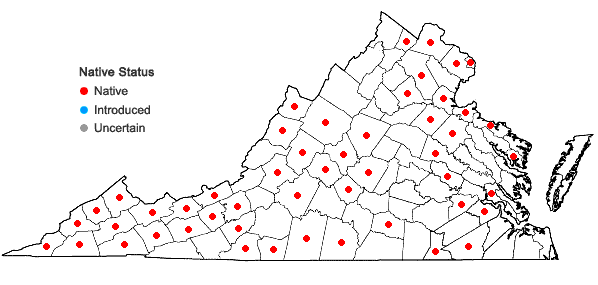 Locations ofHomalosorus pycnocarpos (Spreng.) Pichi-Sermolli in Virginia