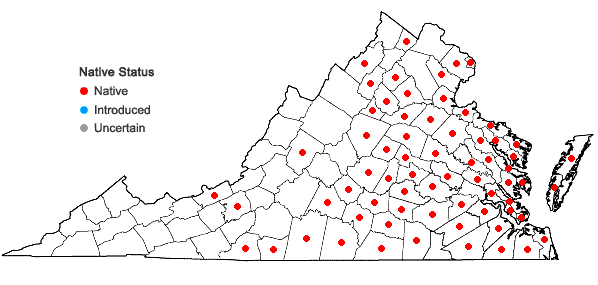 Locations ofHordeum pusillum Nutt. in Virginia