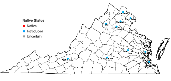 Locations ofHordeum vulgare L. in Virginia