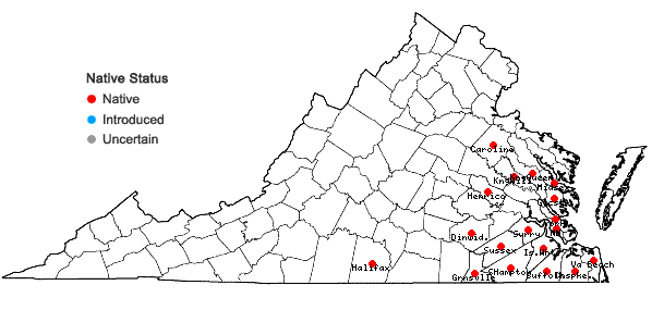 Locations ofHottonia inflata Ell. in Virginia