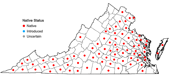 Locations ofHoustonia purpurea L. in Virginia