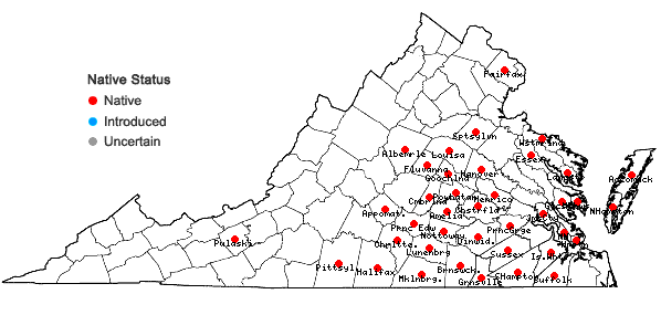 Locations ofHoustonia pusilla Schoepf in Virginia