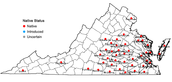Locations ofHoustonia pusilla Schoepf in Virginia