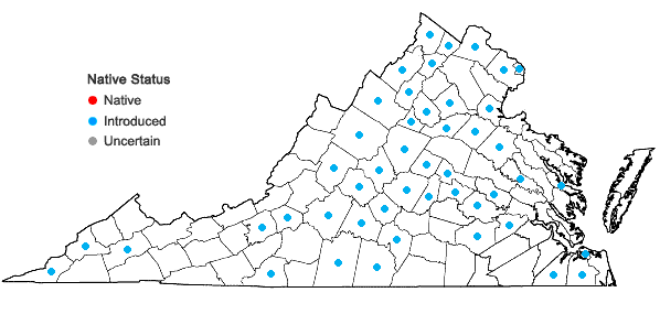 Locations ofHumulus japonicus Sieb. & Zucc. in Virginia