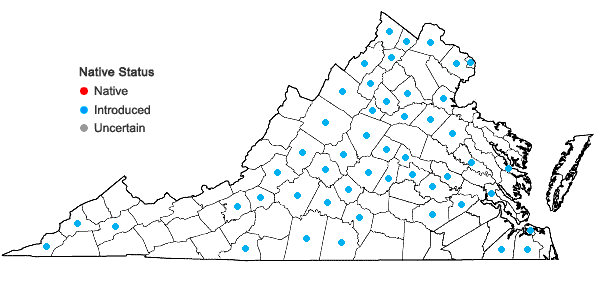 Locations ofHumulus japonicus Sieb. & Zucc. in Virginia