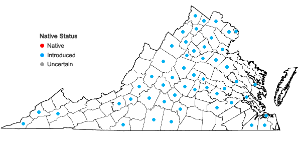Locations ofHumulus japonicus Sieb. & Zucc. in Virginia