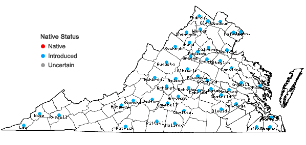 Locations ofHumulus japonicus Sieb. & Zucc. in Virginia