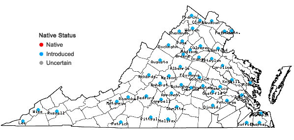 Locations ofHumulus japonicus Sieb. & Zucc. in Virginia