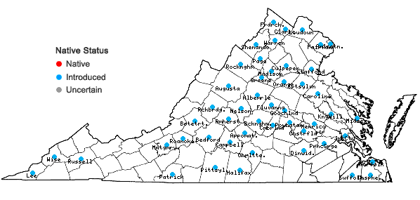 Locations ofHumulus japonicus Sieb. & Zucc. in Virginia