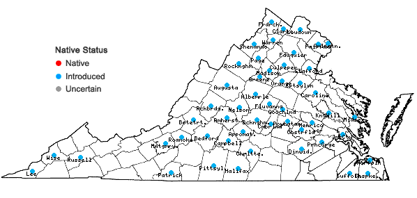 Locations ofHumulus japonicus Sieb. & Zucc. in Virginia