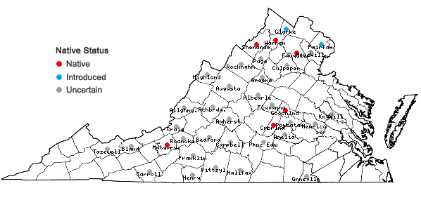 Locations ofHumulus lupulus L. in Virginia