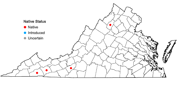 Locations ofHuperzia appressa (Desv.) A.& D. Love in Virginia