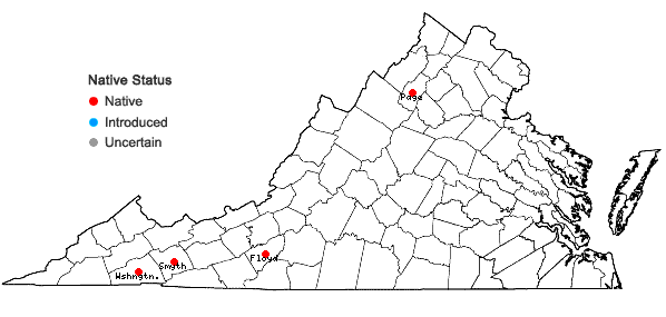 Locations ofHuperzia appressa (Desv.) A.& D. Love in Virginia