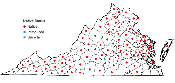 Locations ofHuperzia lucidula (Michx.) Trevisan in Virginia