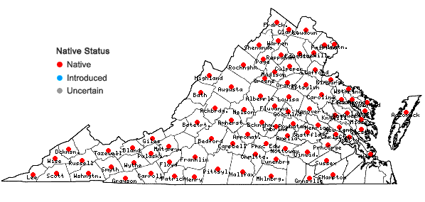 Locations ofHuperzia lucidula (Michx.) Trevisan in Virginia