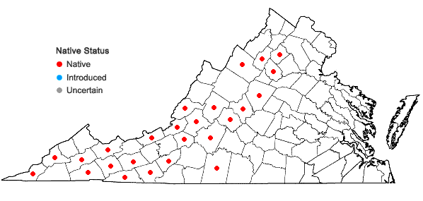 Locations ofHydatica petiolaris (Raf.) Small in Virginia