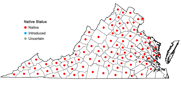 Locations ofHydrangea arborescens L. in Virginia