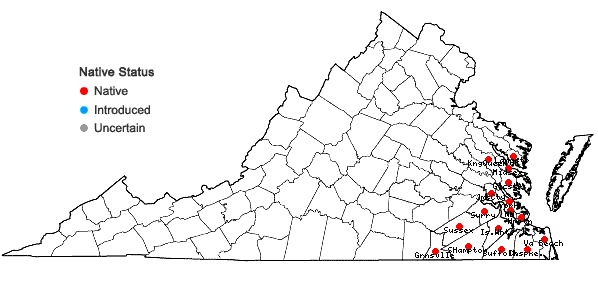 Locations ofHydrangea barbara (L.) B. Schulz in Virginia