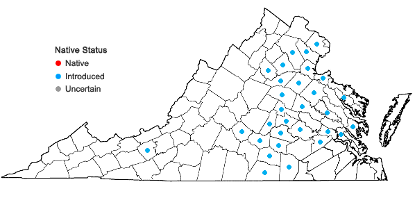 Locations ofHydrilla verticillata (L.f.) Royle in Virginia