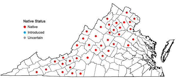 Locations ofHydrocotyle americana L. in Virginia
