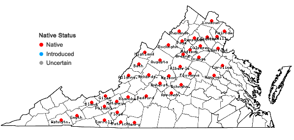 Locations ofHydrocotyle americana L. in Virginia