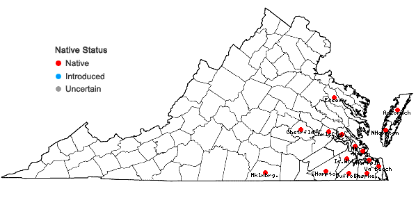 Locations ofHydrocotyle prolifera Kellogg in Virginia