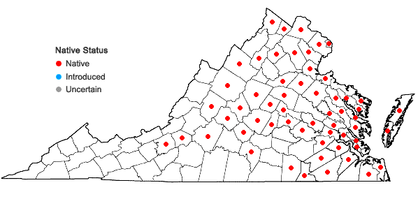 Locations ofHydrocotyle ranunculoides L. f. in Virginia