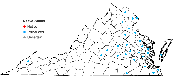 Locations ofHydrocotyle sibthorpioides Lam. in Virginia