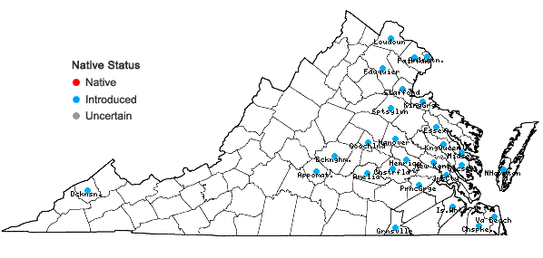 Locations ofHydrocotyle sibthorpioides Lam. in Virginia