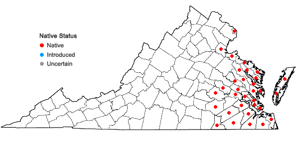 Locations ofHydrocotyle verticillata Thunb. in Virginia