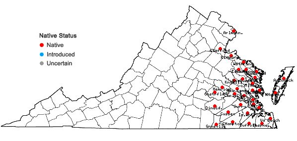 Locations ofHydrocotyle verticillata Thunb. in Virginia