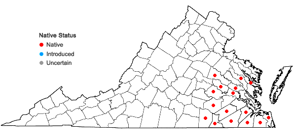 Locations ofHydrolea quadrivalvis Walt. in Virginia